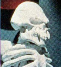 假面騎士敵對組織、邪惡勢力大盤點（二）