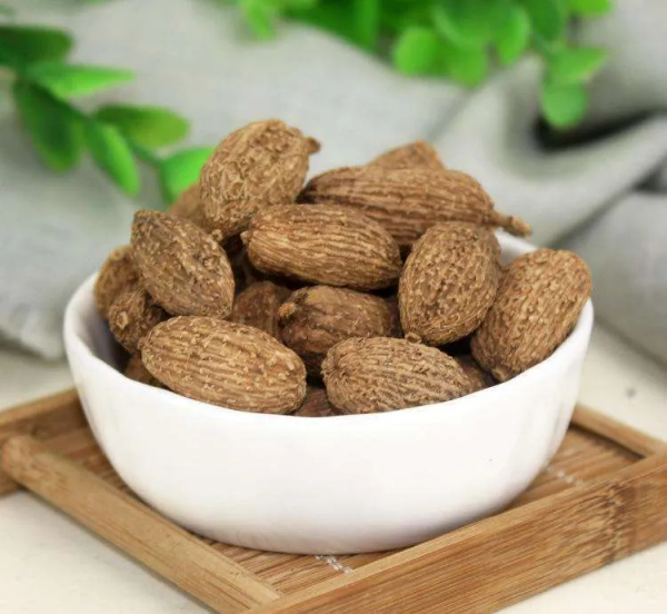 養生知藥 | 砂仁 養生知藥 | 砂仁