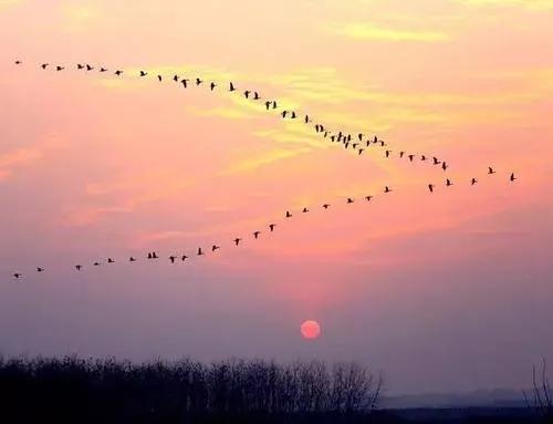 燕山亭 晚秋偶感