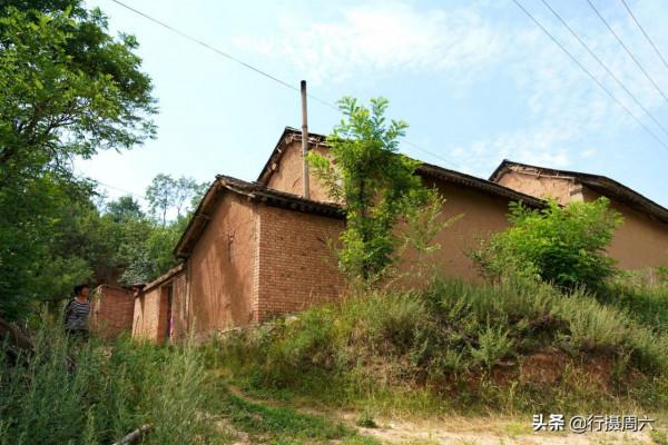 農民大姐家有“黑熊犬”，忠誠聰明1狗護全村，8萬不賣