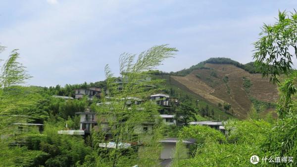 人生只合住湖州!景美,好吃,消費低!記3天2晚慢生活之旅 人生只合住湖州!景美,好吃,消費低!記3天2晚慢生活之旅
