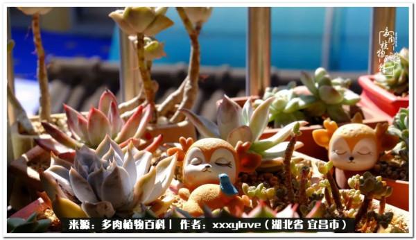 時光匆匆，一閃而逝，這世間萬物的美，都值得被記錄