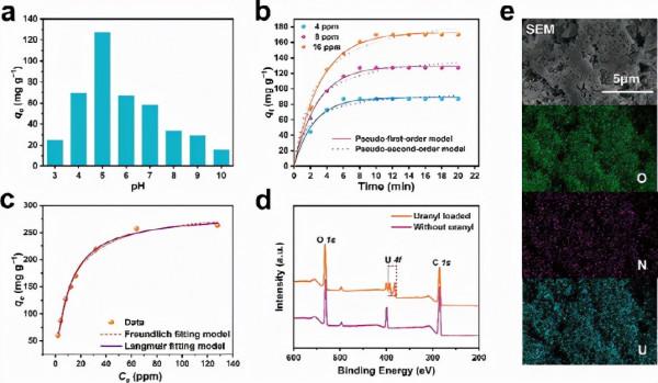 超韌性的海帶啟發生物水凝膠可用於從海水中超快提取鈾