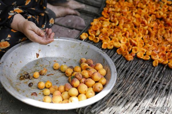 罕薩，世界上壽命最長的部落