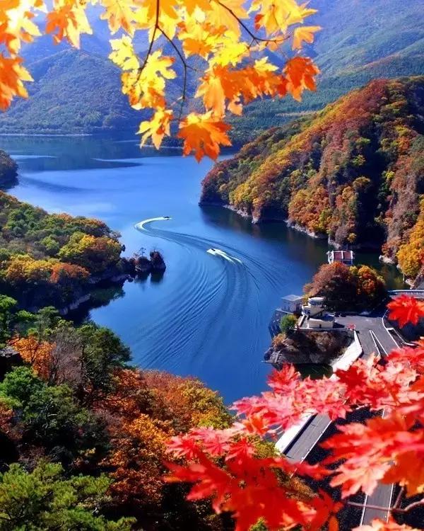 水皮經典分享——清新的鄉村之美