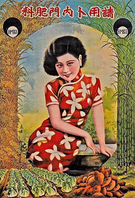 楊冪臉型像芒果,高圓圓法令紋突兀,越美豔越不適合民國造型? 楊冪臉型像芒果,高圓圓法令紋突兀,越美豔越不適合民國造型?