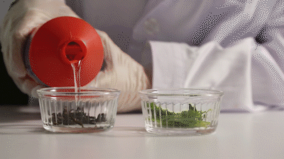 建議大家：房子入住1年以上，這5種家居小用品儘量配齊！不是雞肋