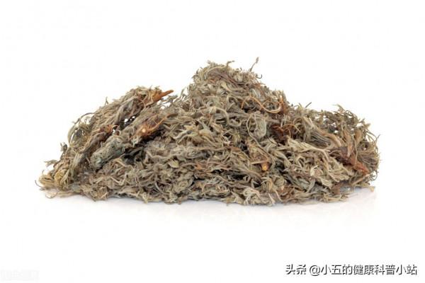 聊一聊治療急慢性肝炎的中成藥——護肝片 聊一聊治療急慢性肝炎的中成藥——護肝片