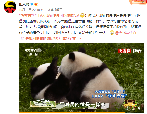 大熊貓便便可以做成紙