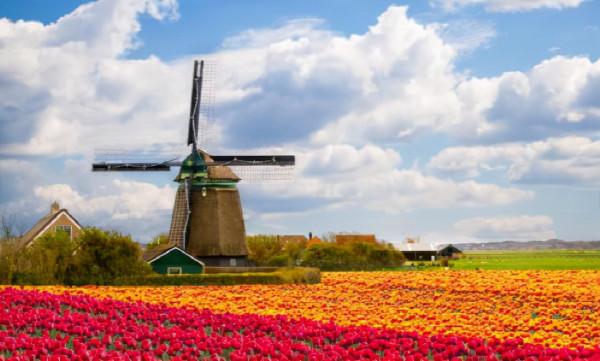 全球各國標誌性建築,你去過幾個? 全球各國標誌性建築,你去過幾個?