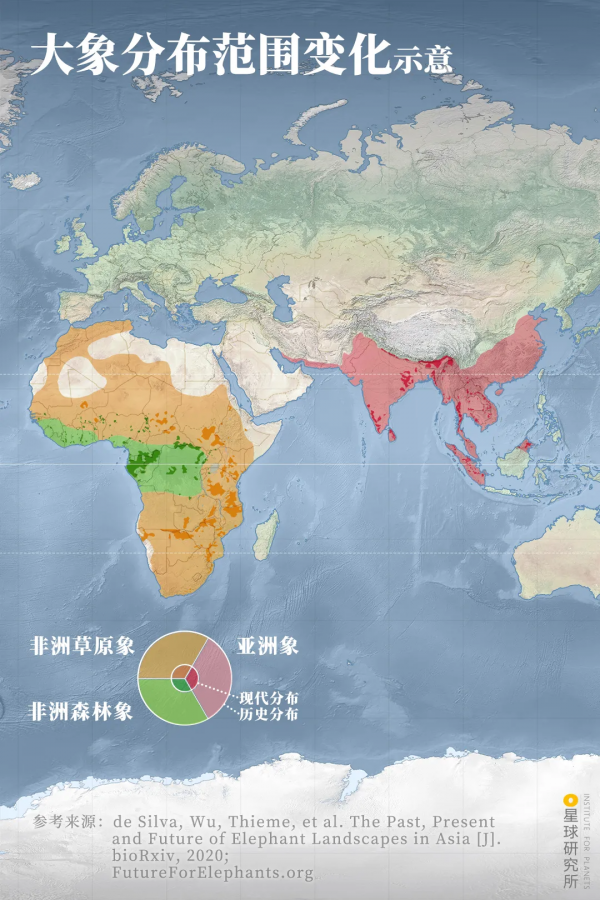2021年度動物，是誰？