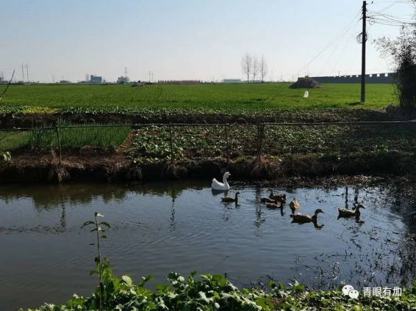 源潭古鎮。 源潭古鎮。