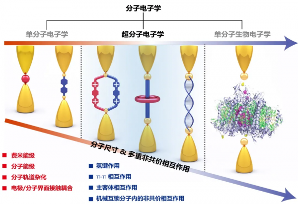 浙江大學陳洪亮課題組:超分子電子學進展 浙江大學陳洪亮課題組:超分子電子學進展