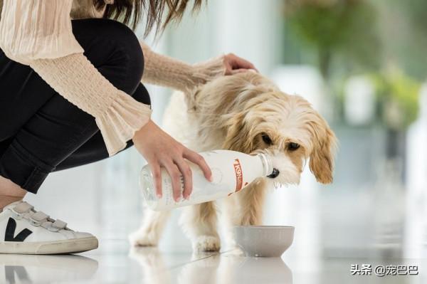 K9 Natural &; Feline Natural寵物牛奶全新發布 K9 Natural &; Feline Natural寵物牛奶全新發布