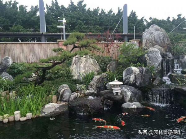 庭院魚池就要這6步，拒絕走彎路少花冤枉錢