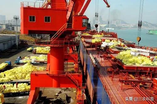 中秋節尿素大漲價!複合肥、磷銨、鉀肥一噸多少錢了 中秋節尿素大漲價!複合肥、磷銨、鉀肥一噸多少錢了