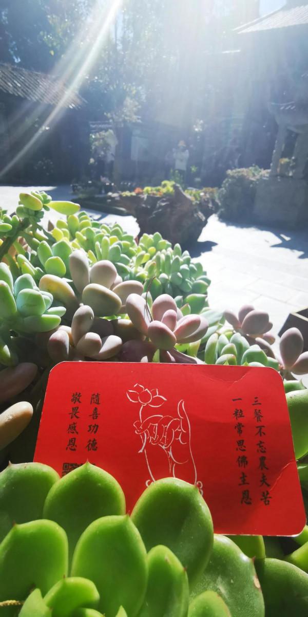 網紅“最美尼姑庵”寂照庵，我想潑你一點點冷水