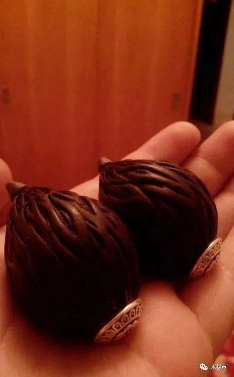 撿到種子,網友問是什麼?把過去培育的照片發一發 撿到種子,網友問是什麼?把過去培育的照片發一發