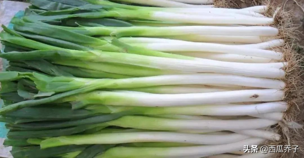 房價只有1W+北京這些地方正逐步鶴崗化 房價只有1W+北京這些地方正逐步鶴崗化