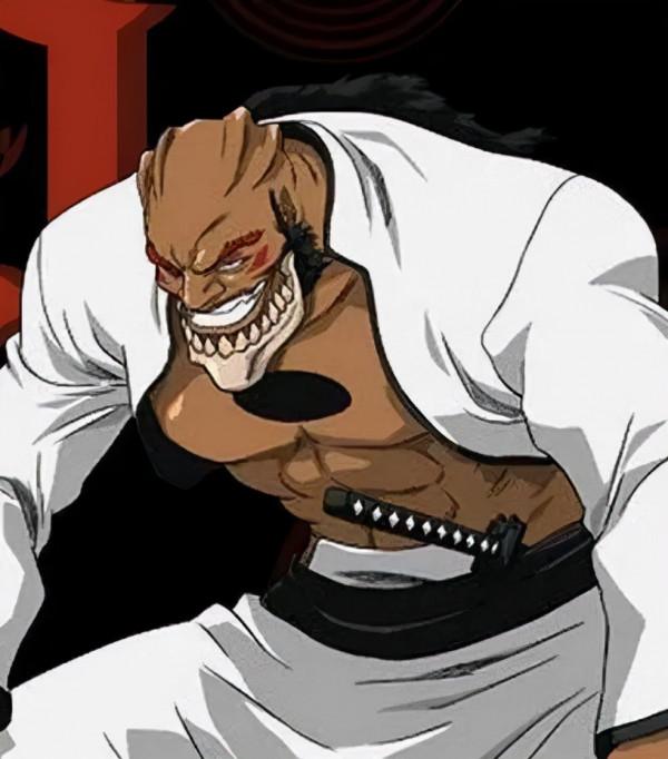 聊聊死神中的殺戮兵團——十刃 聊聊死神中的殺戮兵團——十刃