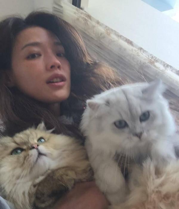 林心如和舒淇成為養貓達人,抱貓咪出鏡笑個不停,場面很溫馨 林心如和舒淇成為養貓達人,抱貓咪出鏡笑個不停,場面很溫馨