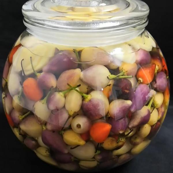 醬泡五彩椒怎樣做脆辣入味不軟癟？醬香濃郁，好吃到能當零食吃