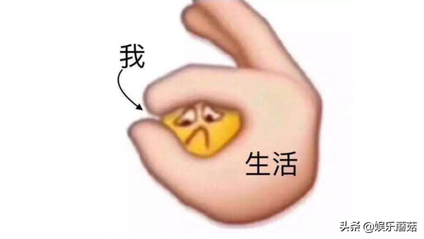 張雪峰的心裡話正是現實，作為學生的你一定要倍加努力、珍惜