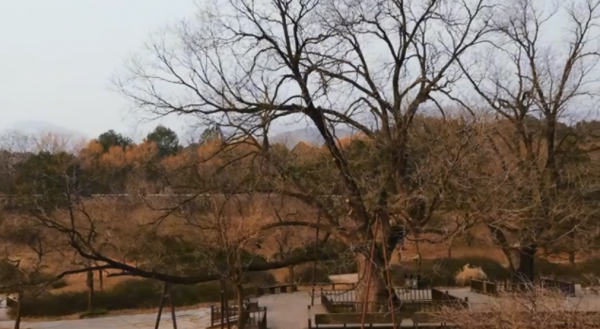 北京植物園古廟宇,規模不大歷史悠久,幾幅壁畫有來頭 北京植物園古廟宇,規模不大歷史悠久,幾幅壁畫有來頭