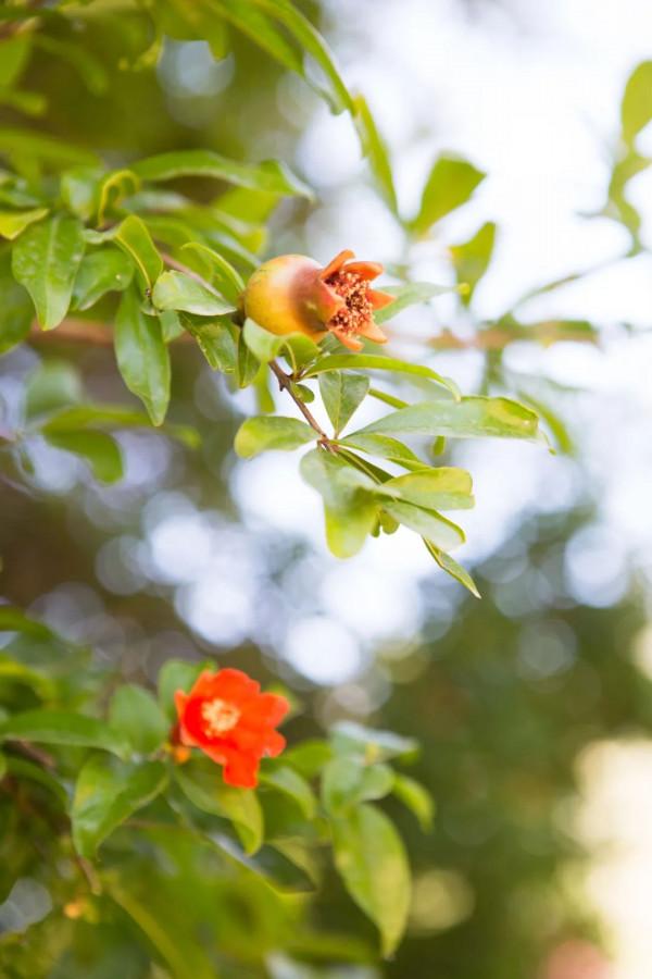 從一月到十二月，一個月份一首詩，太美了