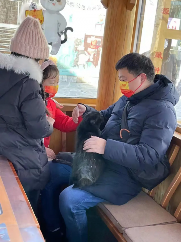 小貓咪都是怎樣&OpenCurlyDoubleQuote;爭寵&rdquo;的？