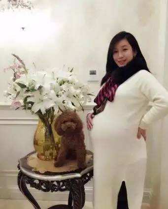 演員秦海璐：孕期一個人撐起一個家，讓喪夫喪子的婆婆老有所依