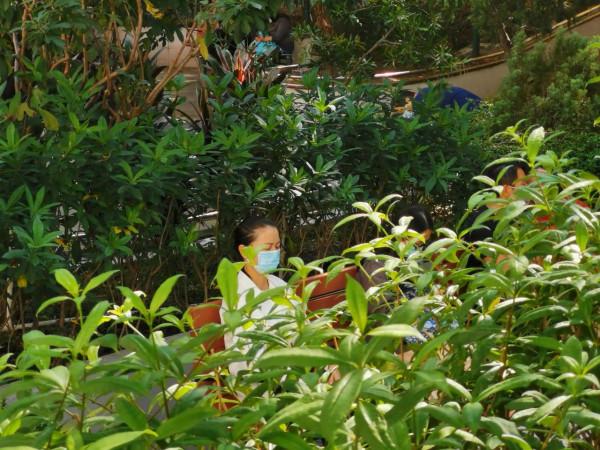 像當地人那樣，我在公園裡坐了半天