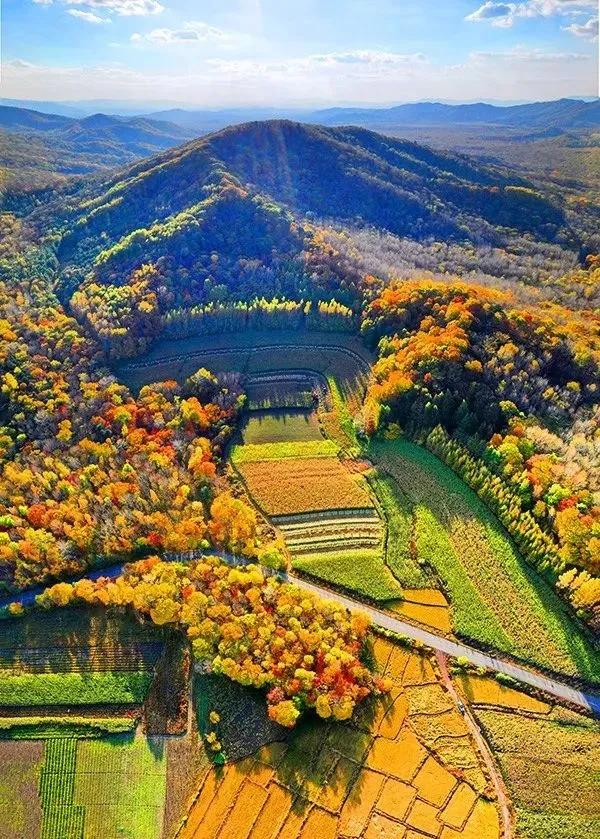 最美的五彩楓葉 最美的五彩楓葉