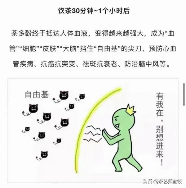 「茶在身體裡面幹了啥,分享一組生動有趣的漫畫」茶修學堂 「茶在身體裡面幹了啥,分享一組生動有趣的漫畫」茶修學堂