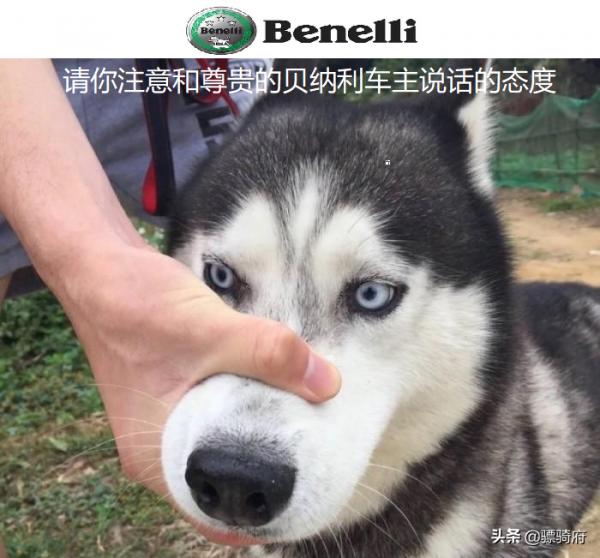 猛獸獨行——以車主的身份試評貝納利幼獅800Trail版本 猛獸獨行——以車主的身份試評貝納利幼獅800Trail版本