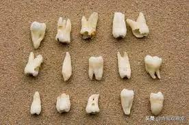 空姐神秘失蹤，幕後黑手竟然犯案數百起，潛藏日本數十年