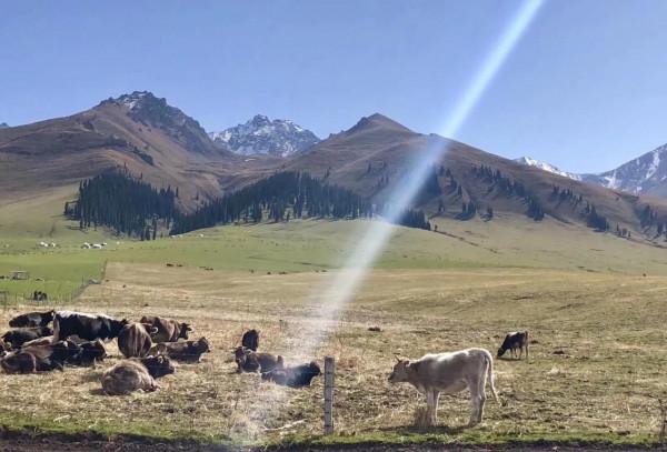 盤點新疆北疆旅遊十大必去景點（5）：東方小瑞士-那拉提草原