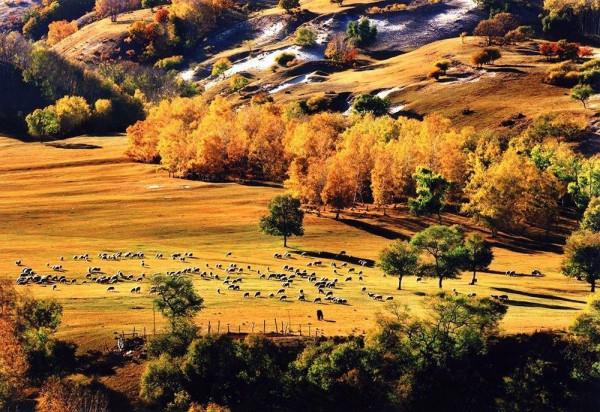 「走遍中國」河北·圍場