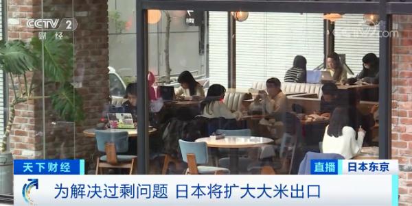 批發價跌幅達27%!唯一可以自給自足的糧食供需失衡,日本做出重要決定 批發價跌幅達27%!唯一可以自給自足的糧食供需失衡,日本做出重要決定