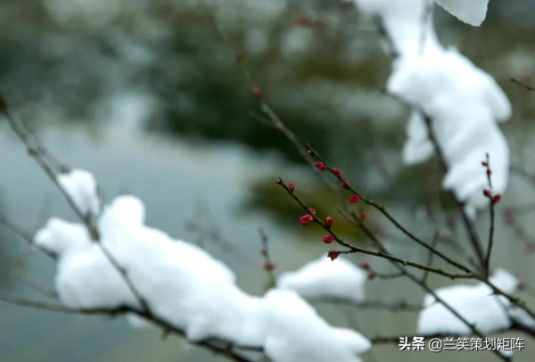 銀裝素裹的世界！冬季到柳葉湖來看雪