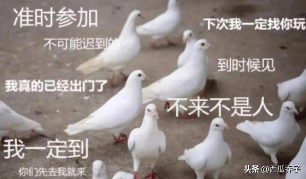 太陽宮再爽約！2022的18塊新地還有啥看頭？