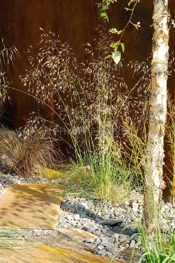 花園植物小百科 | 你的花園到底適合種什麼植物？對症下藥是關鍵