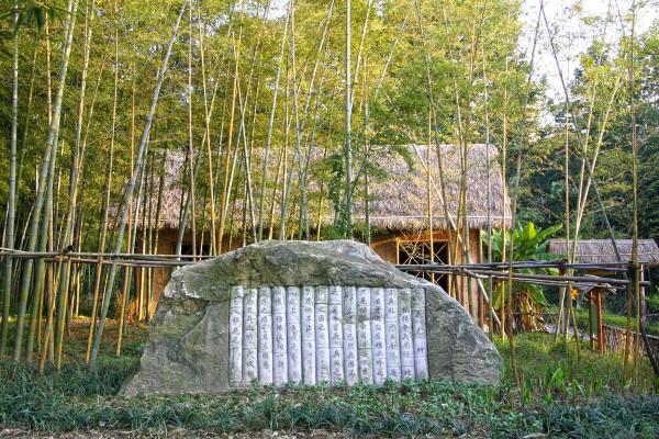 這樣的竹景觀,你能不愛嗎? 這樣的竹景觀,你能不愛嗎?