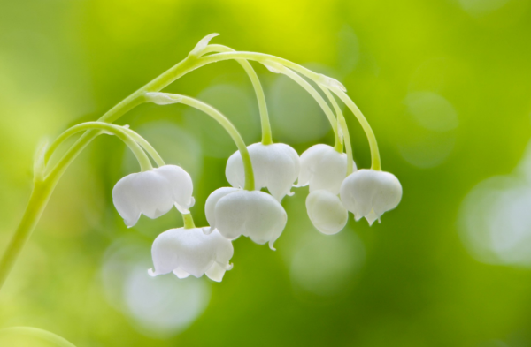 年底運氣不錯，貴人總是在需要幫助的時候出現，一帆風順