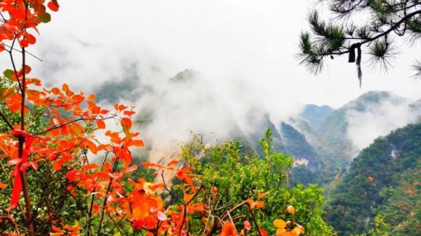 十一還是要來金絲峽，這些色彩你值得深藏