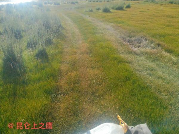 崑崙山的穿越——花石峽、冬給措納湖至香日德