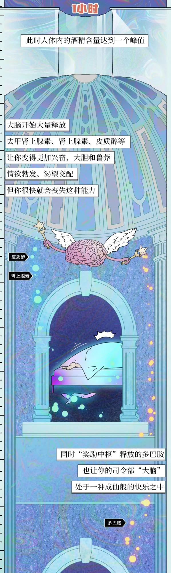 喝酒後24小時人體變化圖鑑