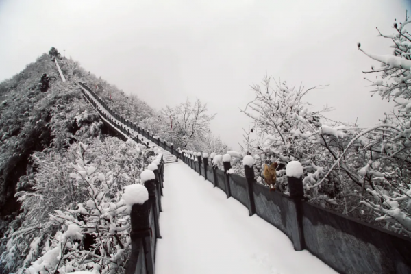 冬已至，一大波美景即將來襲，你準備好get了嗎？