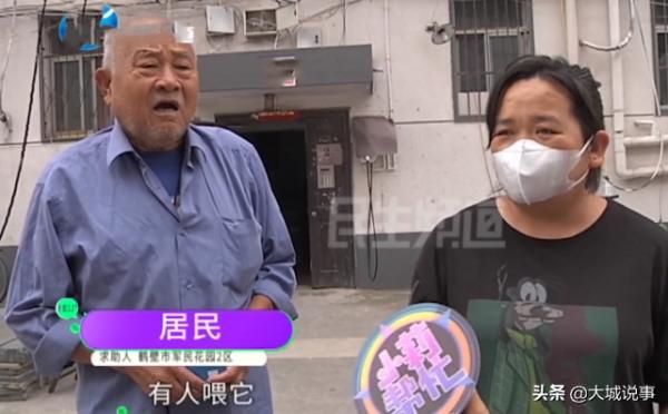 河南:小區裡流浪貓太多,多位業主家裡有跳蚤,希望鄰居不要喂貓 河南:小區裡流浪貓太多,多位業主家裡有跳蚤,希望鄰居不要喂貓