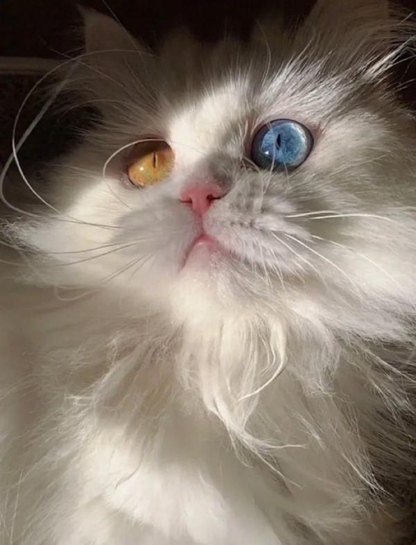 去新疆旅遊的第一天和第七天